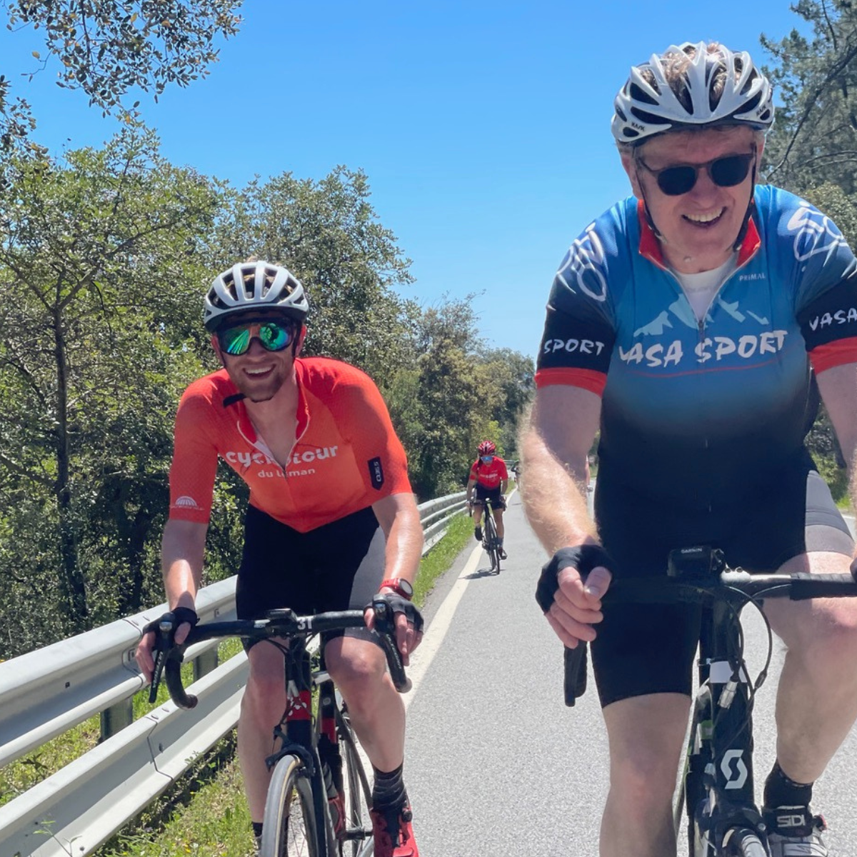 Tri Training Partner